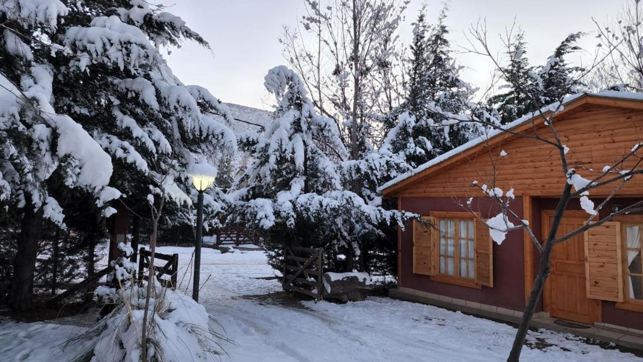 Cerro Indio Villa Potrerillos Exteriör bild
